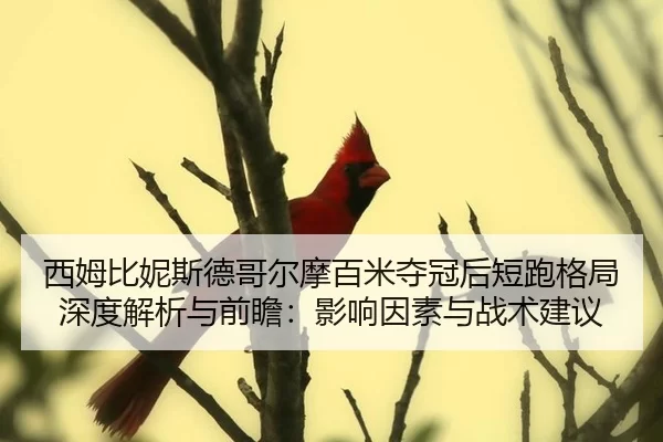 西姆比妮斯德哥尔摩百米夺冠后短跑格局深度解析与前瞻：影响因素与战术建议